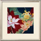 Lotus Dream II