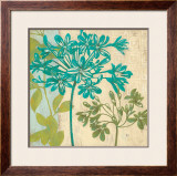Modern Agapanthus