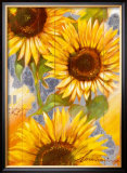 Buy Sun in My Heart at AllPosters.com