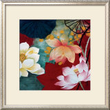 Lotus Dream I