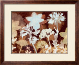 Buy Translucent Shadows I at AllPosters.com