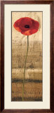 Poppy Panel II