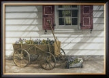 Buy Pansies for Sale at AllPosters.com