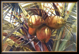 Buy Coconut Grove at AllPosters.com