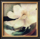 Buy Nature's Blossoms III at AllPosters.com