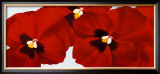 Buy Red I at AllPosters.com