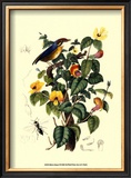 Buy Bird in Nature II at AllPosters.com