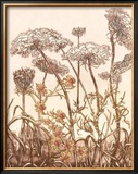 Buy Field of Lace II at AllPosters.com