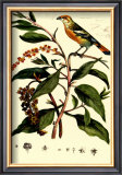 Buy Bird in Nature I at AllPosters.com