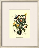 Buy Bird in Nature II at AllPosters.com