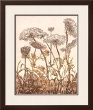 Buy Field of Lace II at AllPosters.com