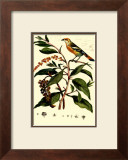 Buy Bird in Nature I at AllPosters.com