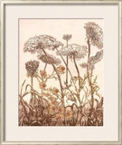 Buy Field of Lace II at AllPosters.com