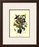 Buy Bird in Nature II at AllPosters.com