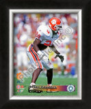 Brian Dawkins