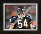 Brian Urlacher