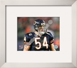 Brian Urlacher