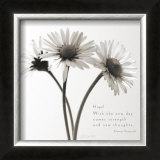 Buy Daisy Hope at AllPosters.com