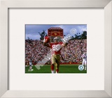 Buy Jerry Rice at AllPosters.com