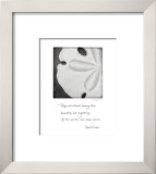 Buy Sand Dollar at AllPosters.com