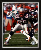 Willie McGinest - 2004-2005 Blocking