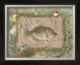 Crappie