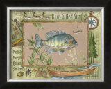 Blue-Gilled Sunfish