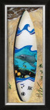 Dolphin Board