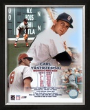 Carl Yastrzemski - Legendsof the Game Composite - &copy;Photofile