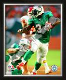 Ricky Williams 2008