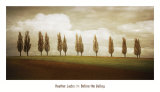 Buy Before the Valley at AllPosters.com