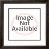 Buy My Fire at AllPosters.com