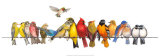 Large Bird Menagerie