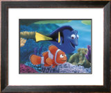 Searching for Nemo