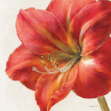 Buy Vivid Amaryllis at AllPosters.com