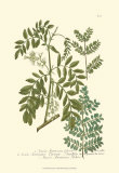 Buy Leaves I at AllPosters.com
