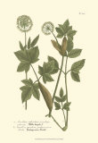 Buy Leaves IV at AllPosters.com