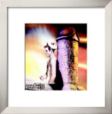 Querelle