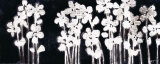 White Flowers on Black I