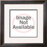 Buy Elvis at AllPosters.com