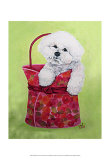 Buy Bichon Carry-On at AllPosters.com