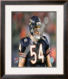 Brian Urlacher