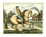 Buy Equestrian Training I at AllPosters.com