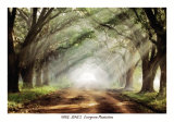 Evergreen Plantation