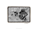 Sand Treasures II
