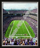 M&T Bank Stadium 2009