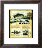 Buy Mouth at AllPosters.com