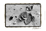 Buy Sand Treasures III at AllPosters.com