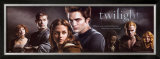 Buy Twilight at AllPosters.com