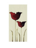 Buy Tulips II at AllPosters.com